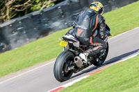 Oulton-Park-20th-March-2020;PJ-Motorsport-Photography-2020;anglesey;brands-hatch;cadwell-park;croft;donington-park;enduro-digital-images;event-digital-images;eventdigitalimages;mallory;no-limits;oulton-park;peter-wileman-photography;racing-digital-images;silverstone;snetterton;trackday-digital-images;trackday-photos;vmcc-banbury-run;welsh-2-day-enduro